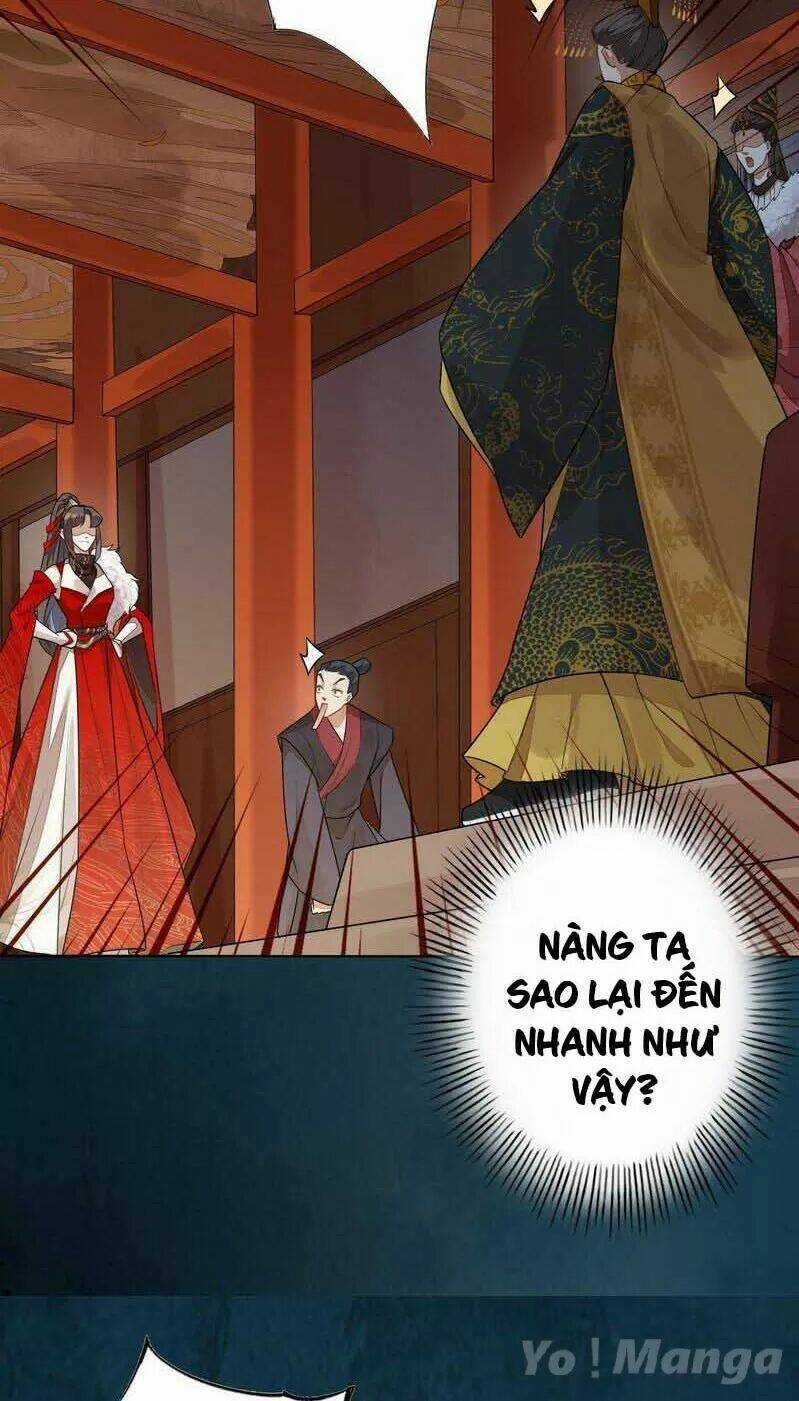 Tuyệt Thế Luyện Đan Sư Chapter 144 trang 9