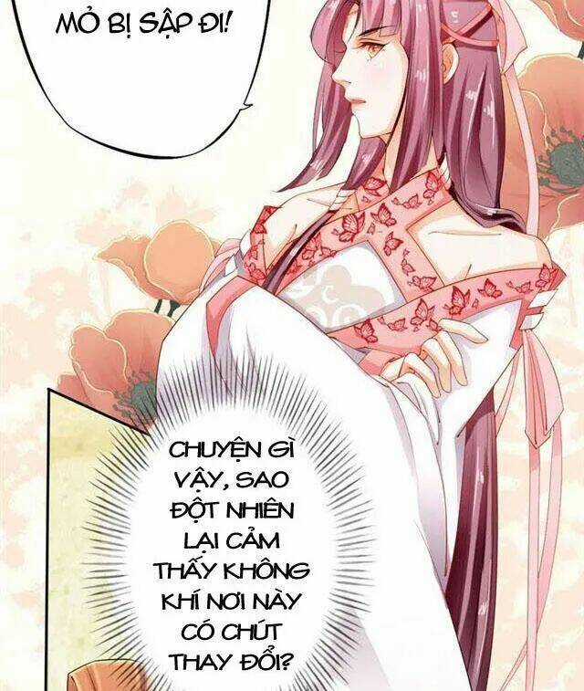 Tuyệt Thế Luyện Đan Sư Chapter 15 trang 14