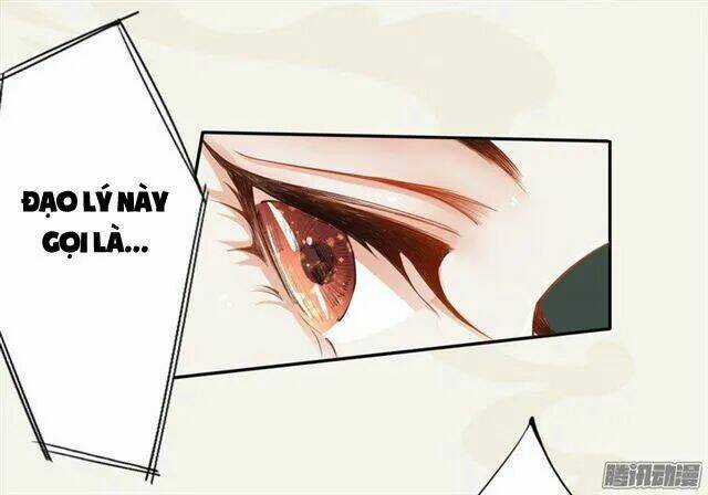 Tuyệt Thế Luyện Đan Sư Chapter 15 trang 38