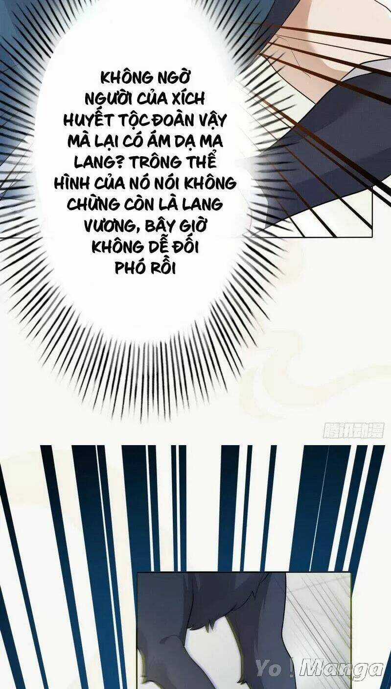 Tuyệt Thế Luyện Đan Sư Chapter 153 trang 25