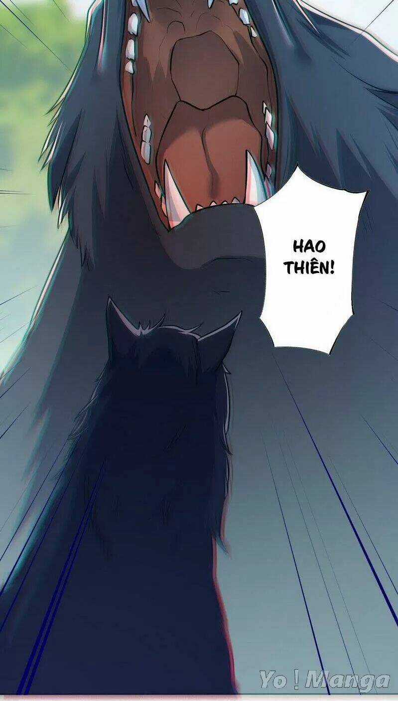 Tuyệt Thế Luyện Đan Sư Chapter 153 trang 32