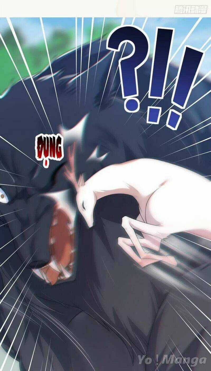 Tuyệt Thế Luyện Đan Sư Chapter 153 trang 34