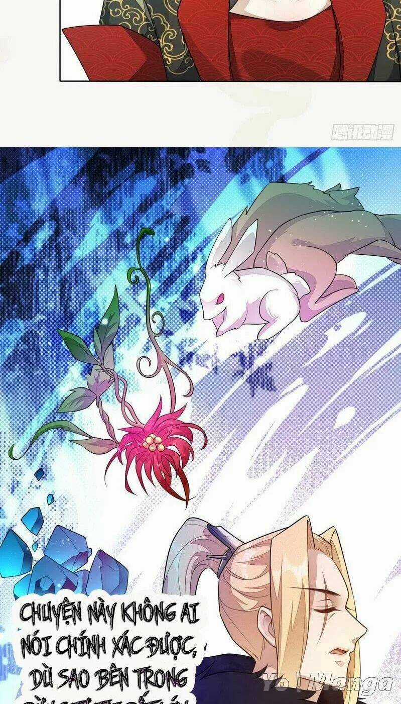 Tuyệt Thế Luyện Đan Sư Chapter 156 trang 5