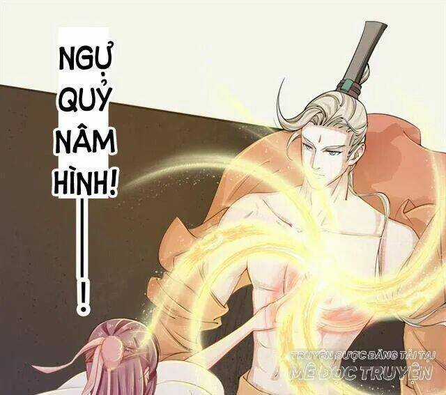 Tuyệt Thế Luyện Đan Sư Chapter 16 trang 40