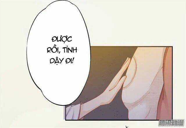 Tuyệt Thế Luyện Đan Sư Chapter 16 trang 44