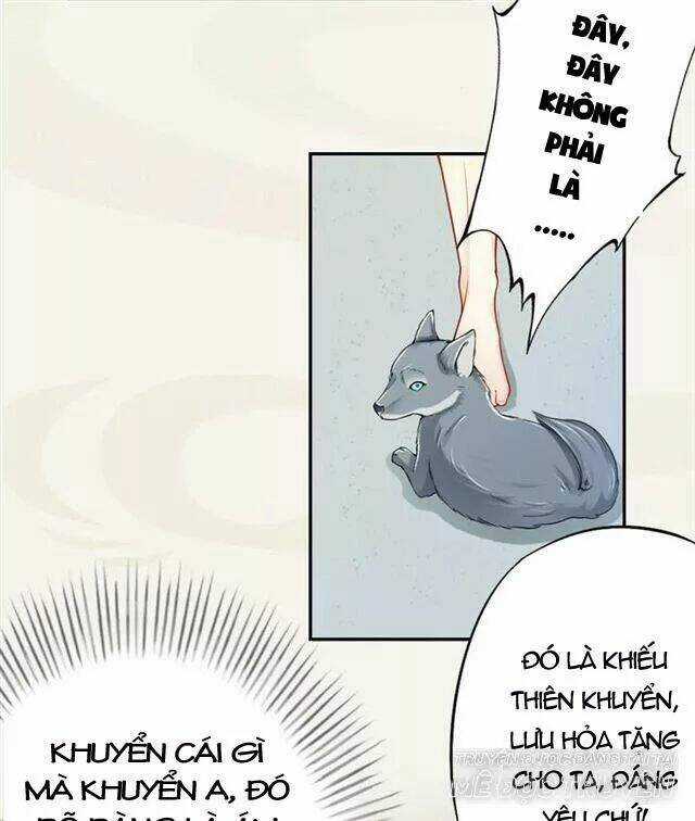 Tuyệt Thế Luyện Đan Sư Chapter 17 trang 25