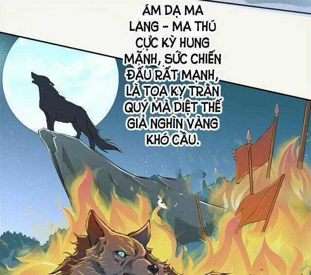 Tuyệt Thế Luyện Đan Sư Chapter 17 trang 27