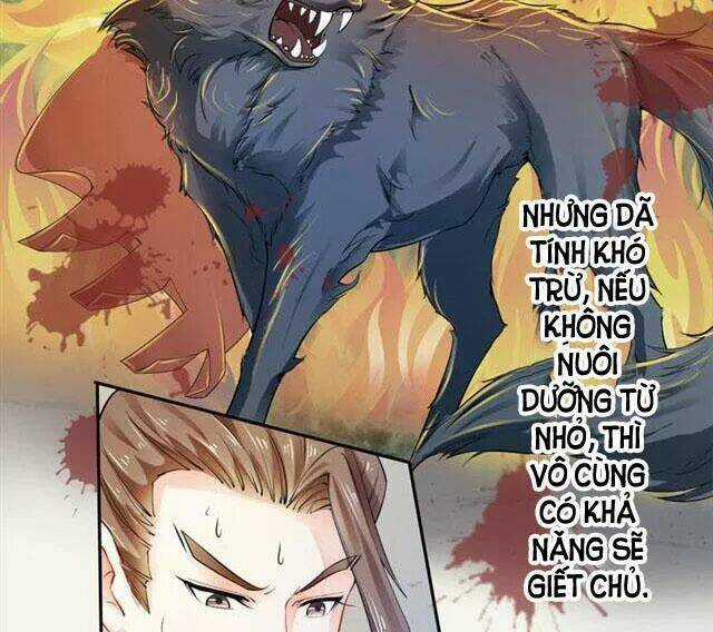 Tuyệt Thế Luyện Đan Sư Chapter 17 trang 28