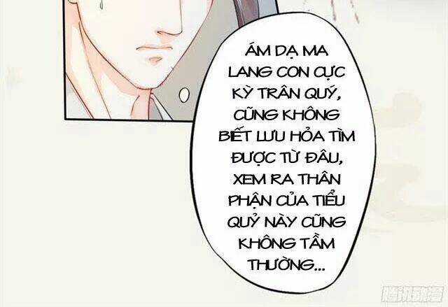 Tuyệt Thế Luyện Đan Sư Chapter 17 trang 29