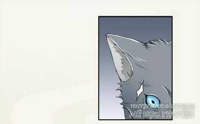 Tuyệt Thế Luyện Đan Sư Chapter 17 trang 30