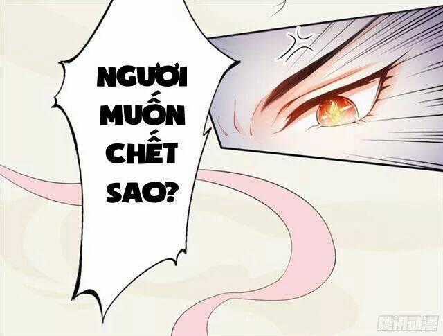 Tuyệt Thế Luyện Đan Sư Chapter 17 trang 47