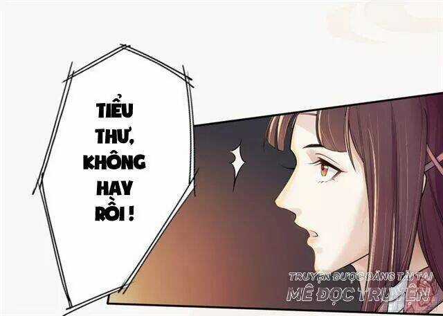 Tuyệt Thế Luyện Đan Sư Chapter 21 trang 35