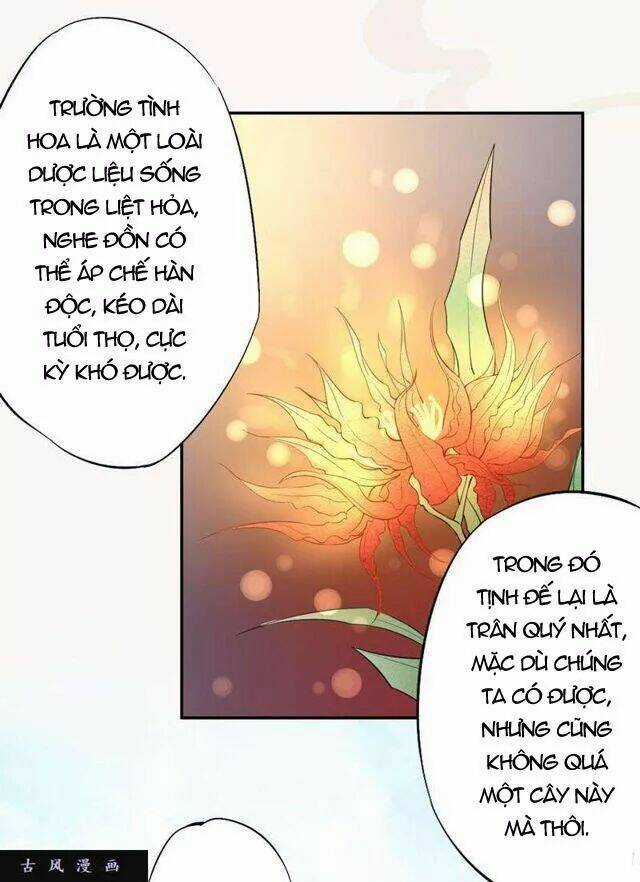 Tuyệt Thế Luyện Đan Sư Chapter 23 trang 14