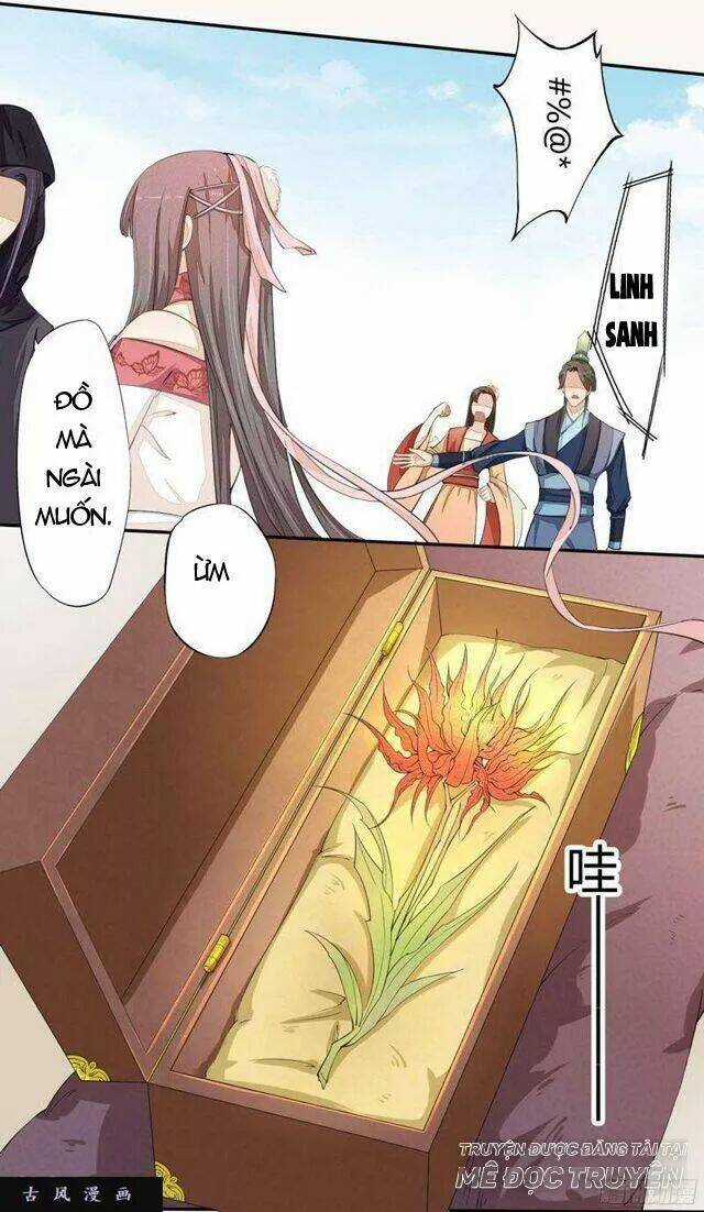 Tuyệt Thế Luyện Đan Sư Chapter 23 trang 25