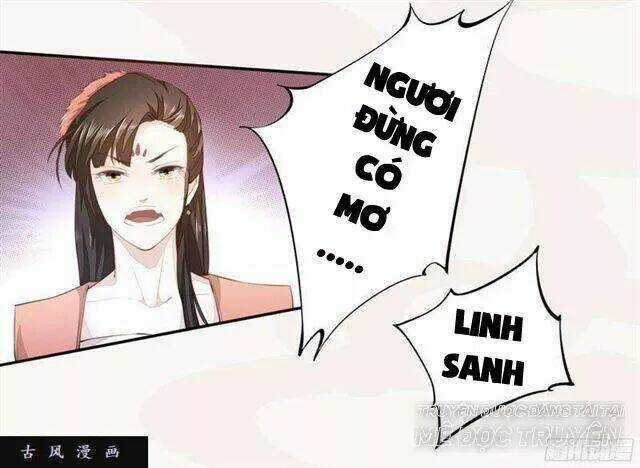 Tuyệt Thế Luyện Đan Sư Chapter 24 trang 5