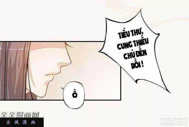 Tuyệt Thế Luyện Đan Sư Chapter 27 trang 24