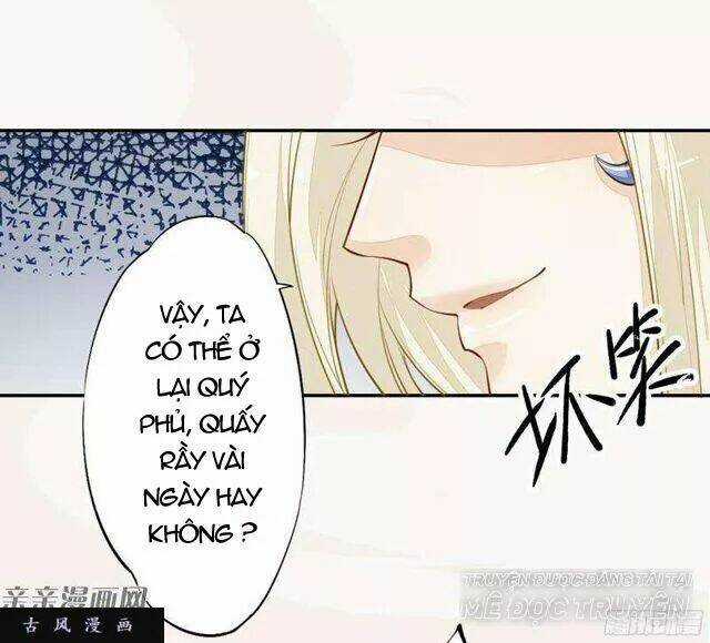 Tuyệt Thế Luyện Đan Sư Chapter 27 trang 30