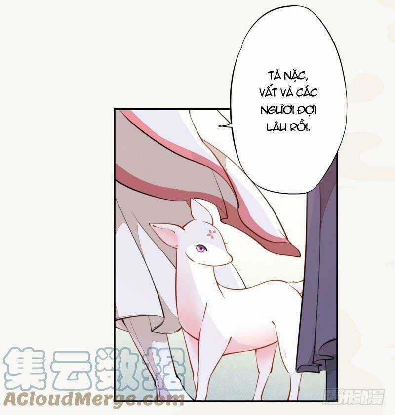 Tuyệt Thế Luyện Đan Sư Chapter 33 trang 12