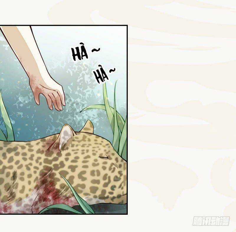 Tuyệt Thế Luyện Đan Sư Chapter 33 trang 26