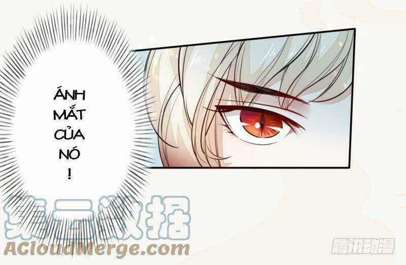 Tuyệt Thế Luyện Đan Sư Chapter 33 trang 32