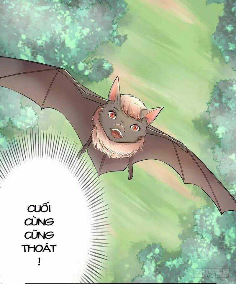 Tuyệt Thế Luyện Đan Sư Chapter 34 trang 14