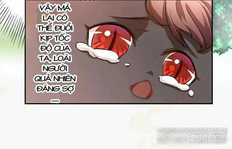 Tuyệt Thế Luyện Đan Sư Chapter 34 trang 15