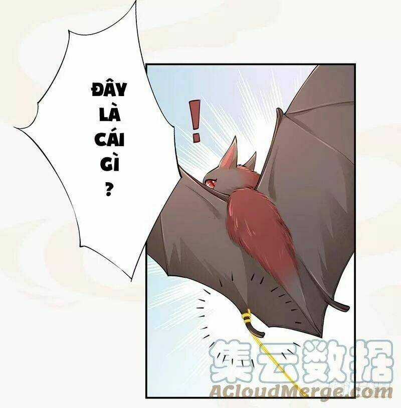 Tuyệt Thế Luyện Đan Sư Chapter 34 trang 17