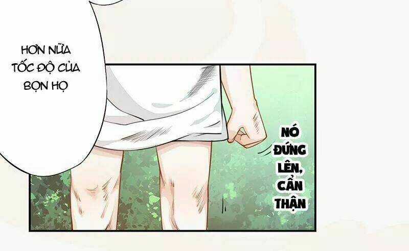 Tuyệt Thế Luyện Đan Sư Chapter 34 trang 4