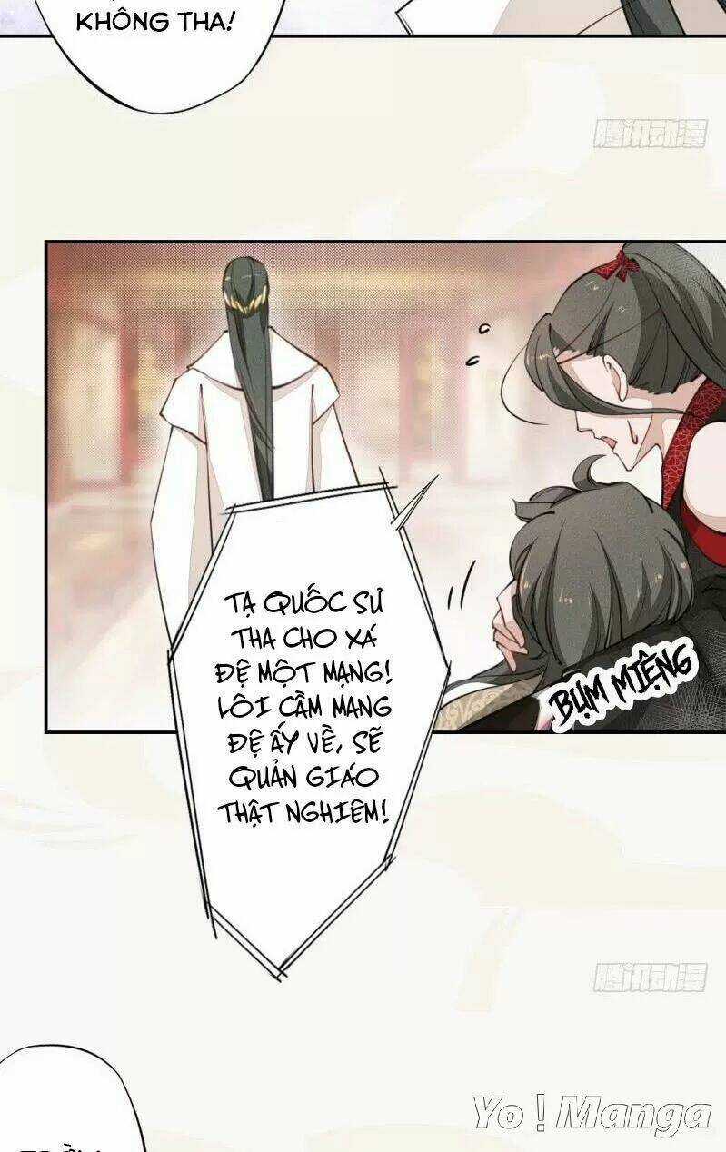 Tuyệt Thế Luyện Đan Sư Chapter 40 trang 16