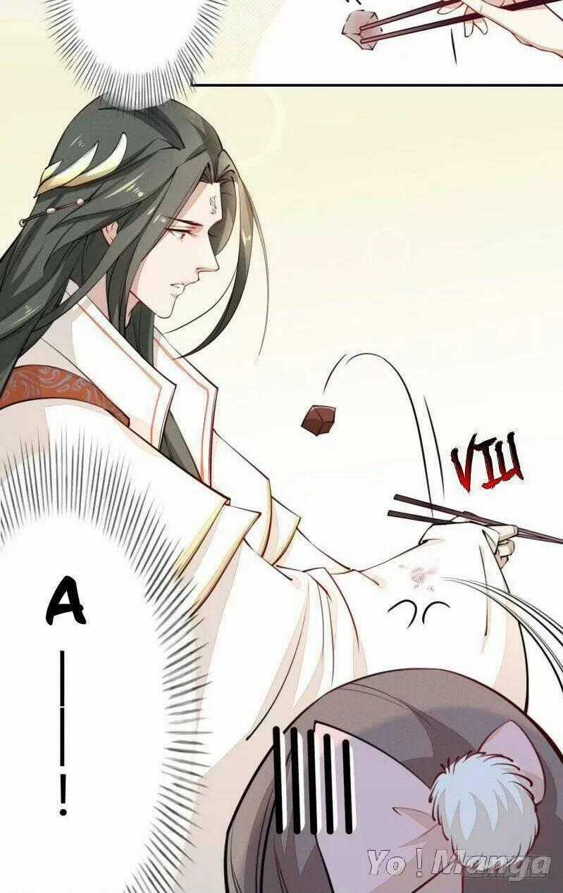 Tuyệt Thế Luyện Đan Sư Chapter 40 trang 25