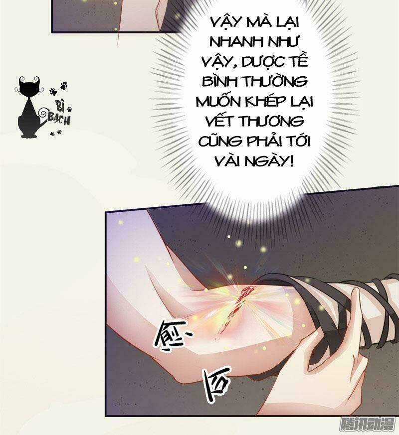 Tuyệt Thế Luyện Đan Sư Chapter 5 trang 26