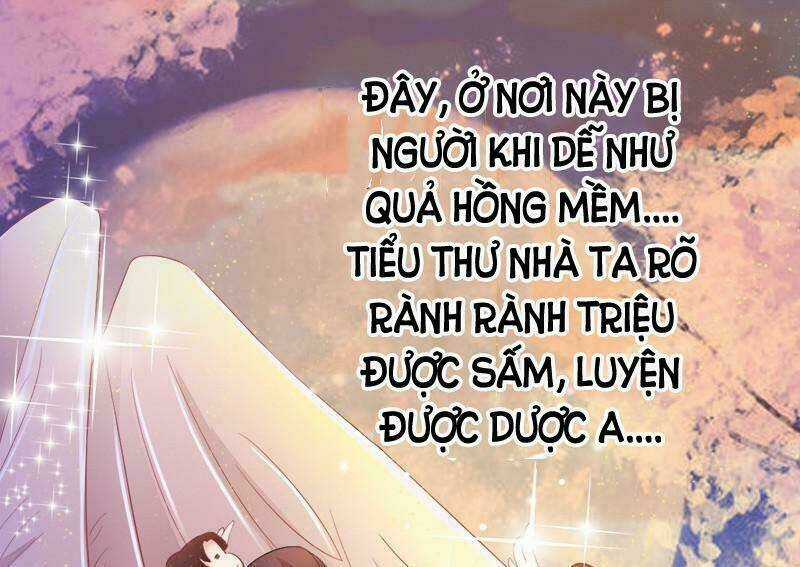 Tuyệt Thế Luyện Đan Sư Chapter 5 trang 29