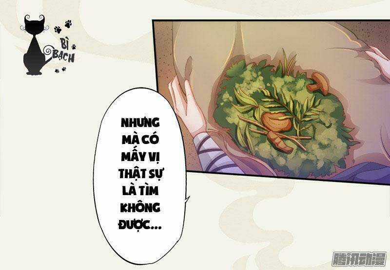 Tuyệt Thế Luyện Đan Sư Chapter 5 trang 5