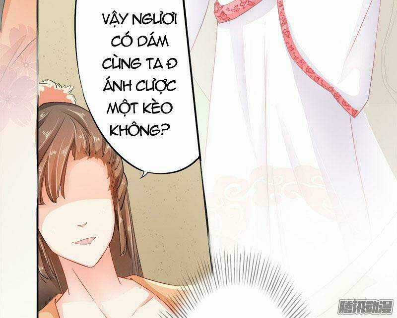 Tuyệt Thế Luyện Đan Sư Chapter 6 trang 22