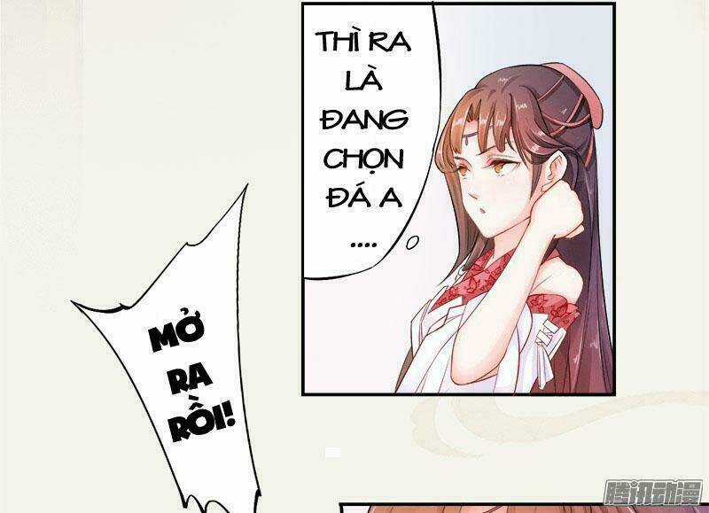 Tuyệt Thế Luyện Đan Sư Chapter 6 trang 3