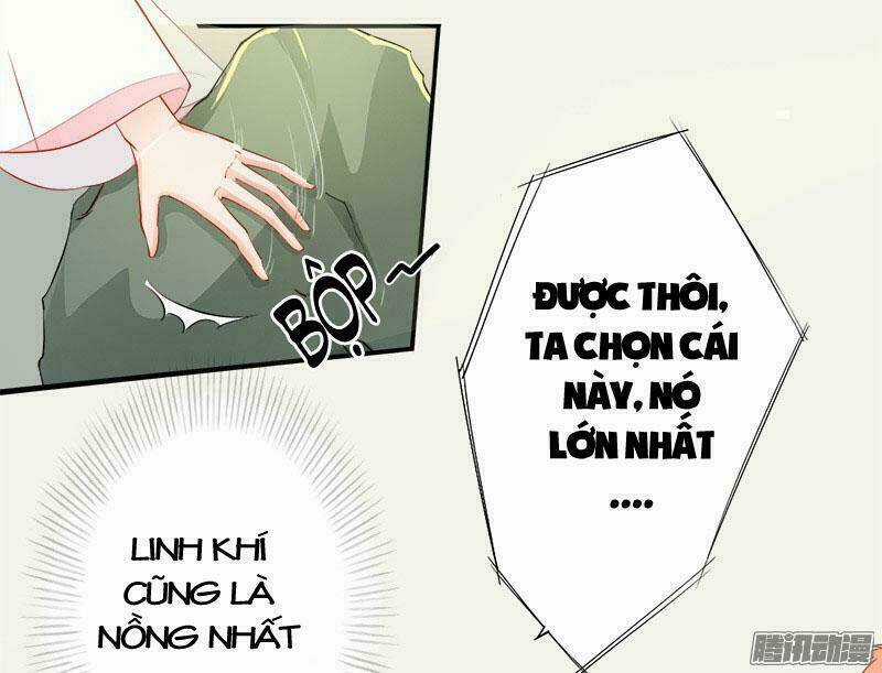 Tuyệt Thế Luyện Đan Sư Chapter 6 trang 34