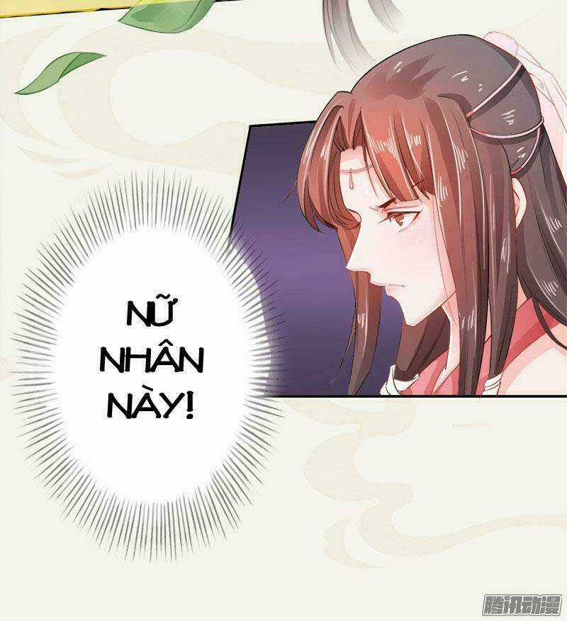 Tuyệt Thế Luyện Đan Sư Chapter 6 trang 47