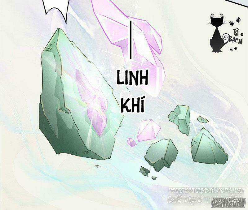 Tuyệt Thế Luyện Đan Sư Chapter 6 trang 5