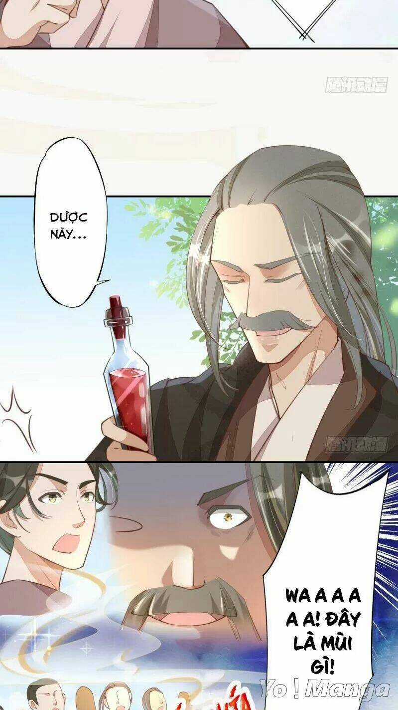 Tuyệt Thế Luyện Đan Sư Chapter 66 trang 17