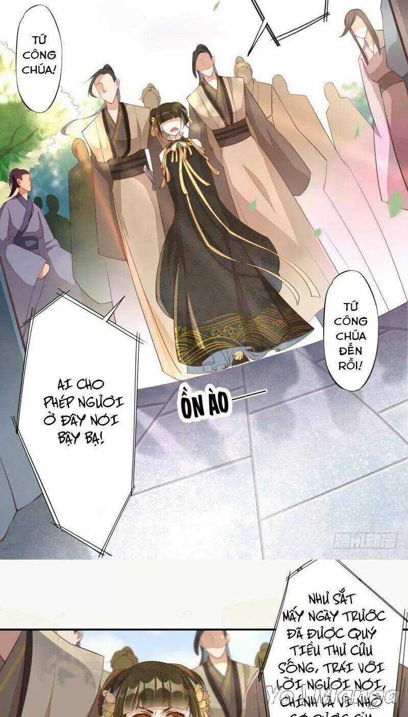 Tuyệt Thế Luyện Đan Sư Chapter 67 trang 11