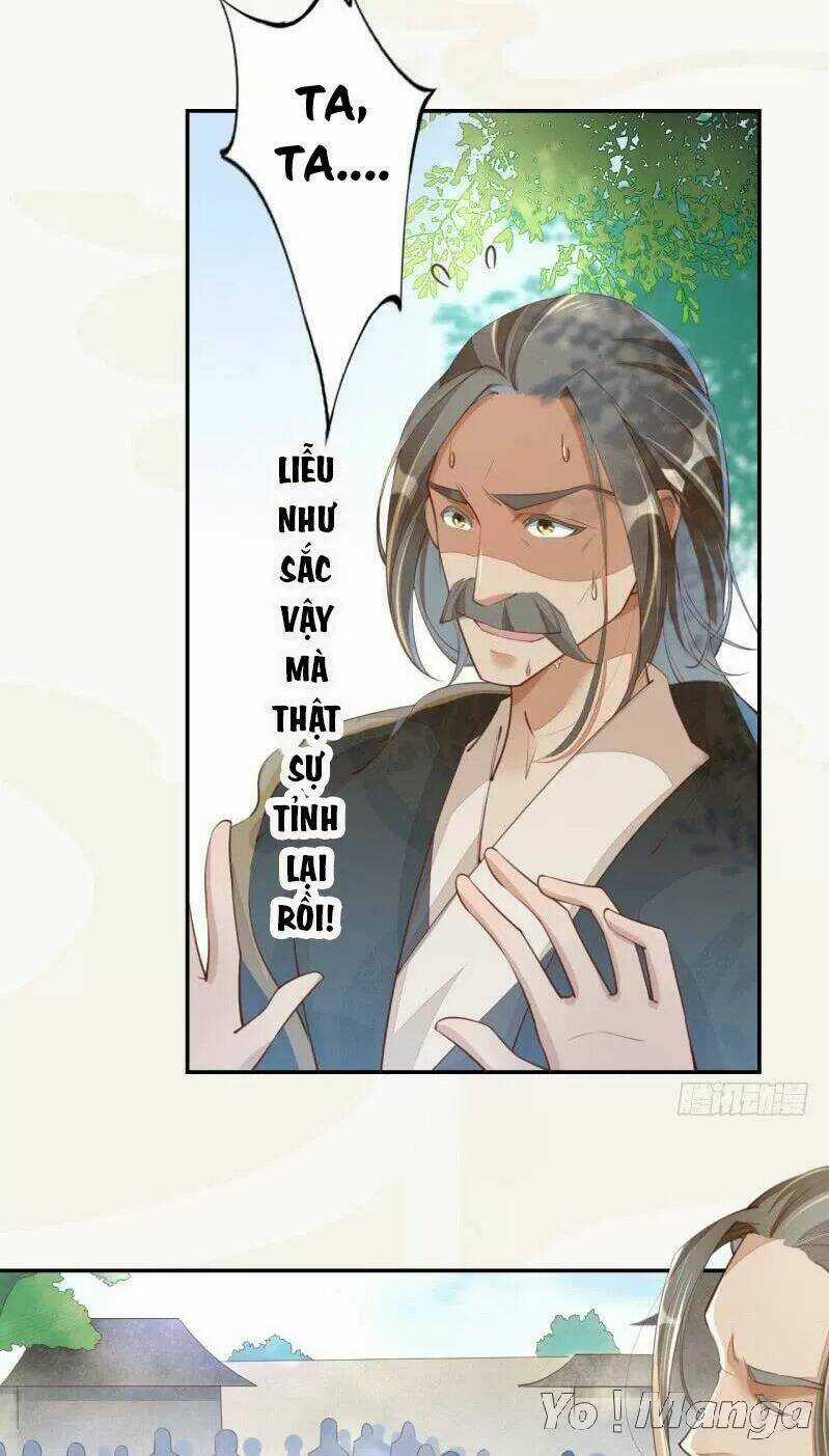 Tuyệt Thế Luyện Đan Sư Chapter 67 trang 13