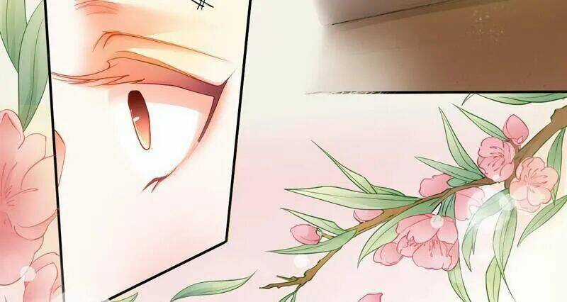 Tuyệt Thế Luyện Đan Sư Chapter 8 trang 6