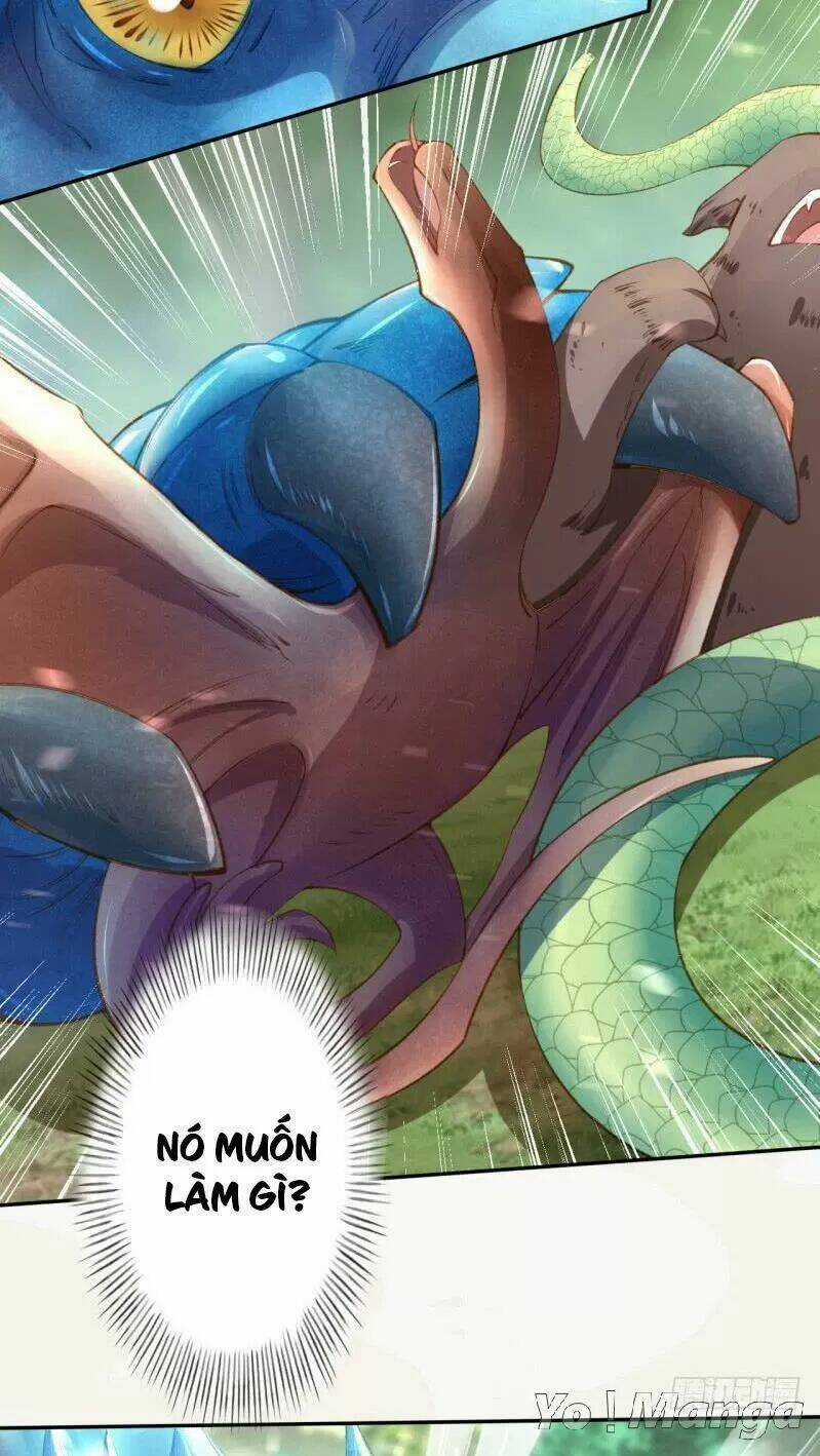 Tuyệt Thế Luyện Đan Sư Chapter 81 trang 13