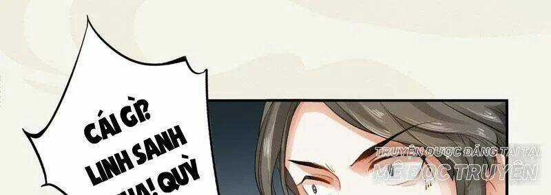 Tuyệt Thế Luyện Đan Sư Chapter 9 trang 35