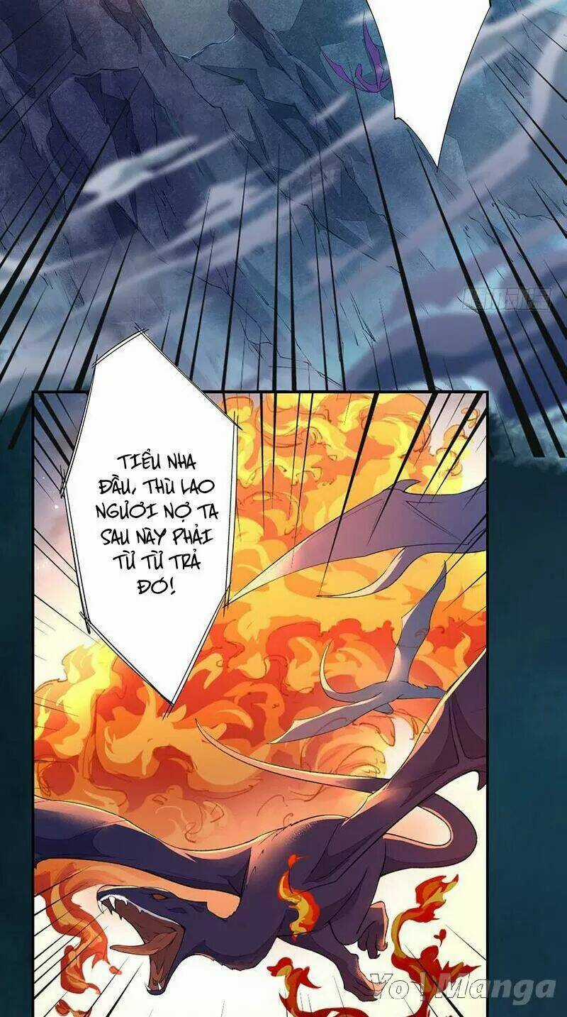 Tuyệt Thế Luyện Đan Sư Chapter 95 trang 15