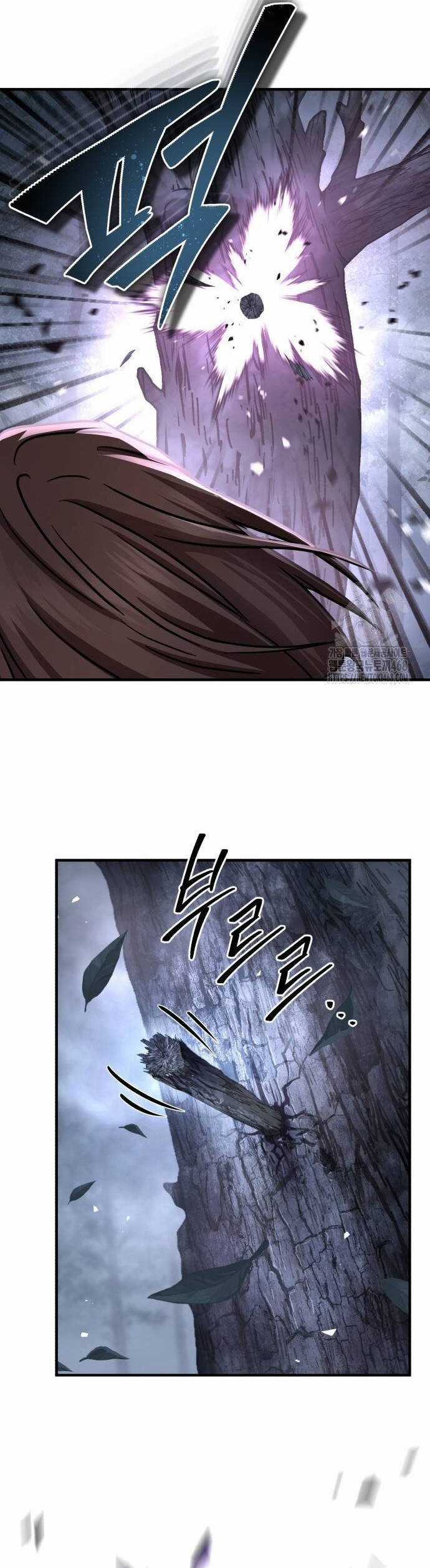 Tuyệt Thế Quân Lâm Chương 27 trang 24