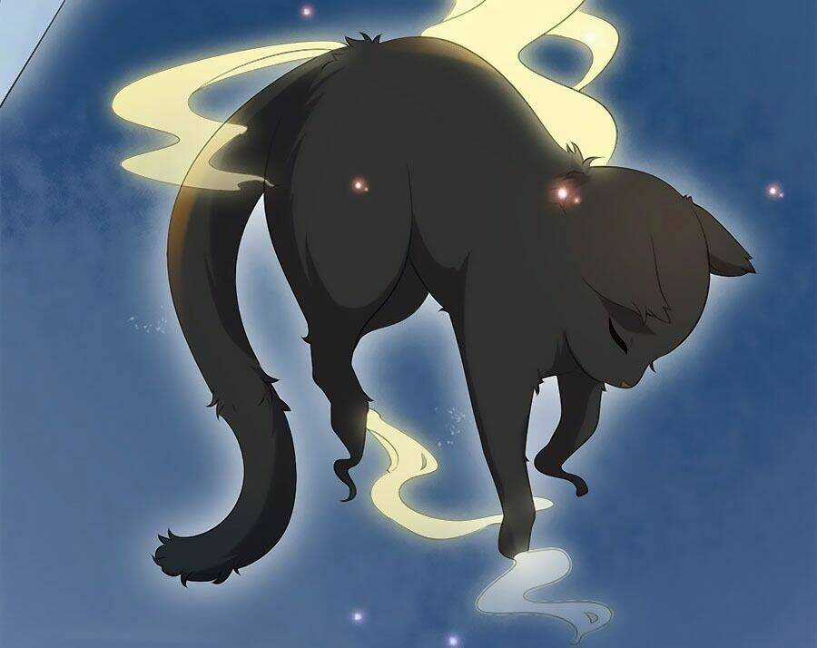 Tuyệt Thế Thần Y: Phúc Hắc Đại Tiểu Thư Chapter 1 trang 17