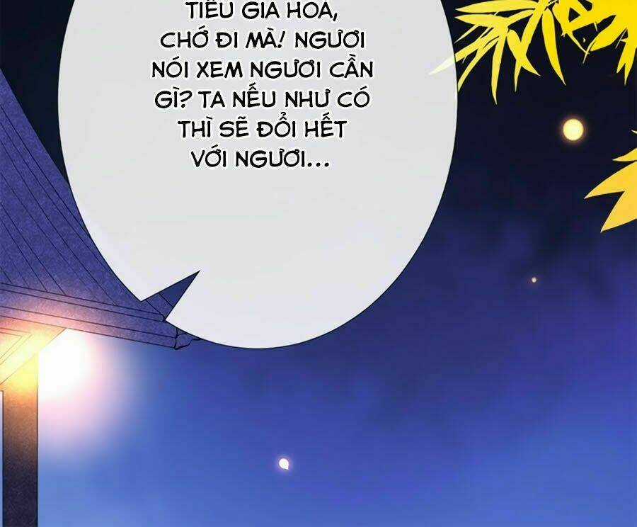 Tuyệt Thế Thần Y: Phúc Hắc Đại Tiểu Thư Chapter 11.2 trang 7