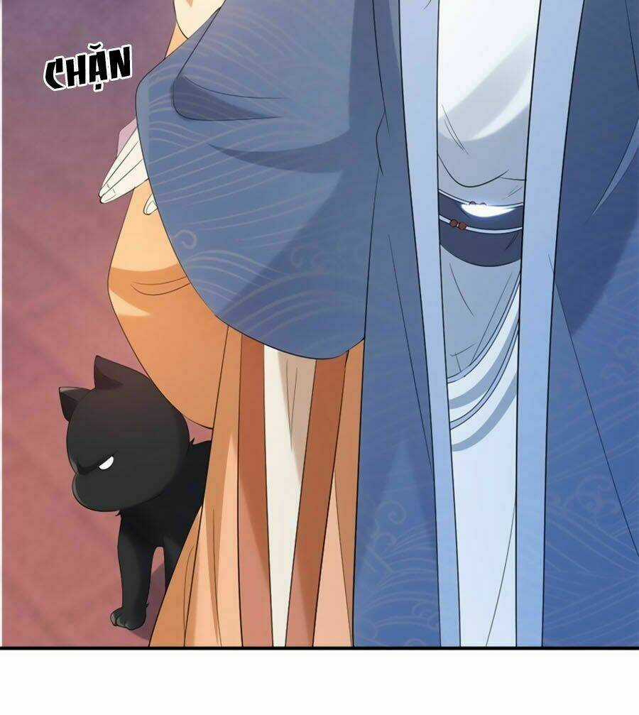 Tuyệt Thế Thần Y: Phúc Hắc Đại Tiểu Thư Chapter 14 trang 13