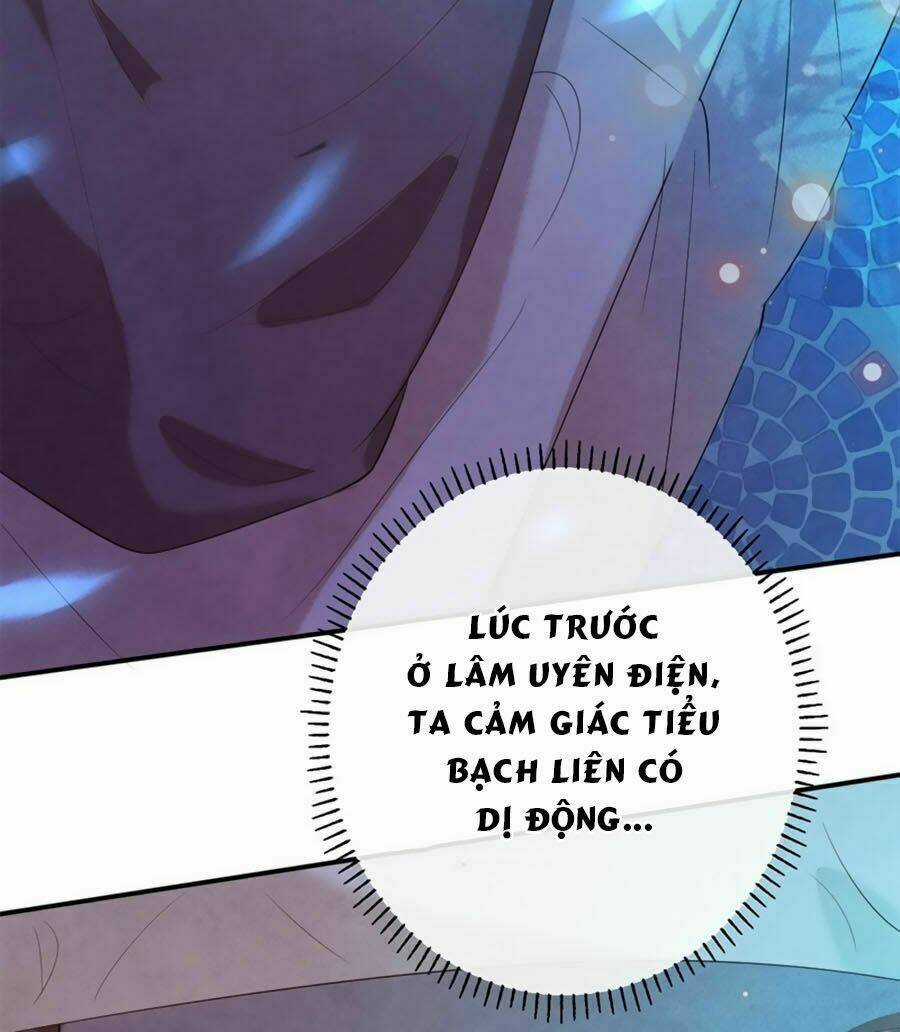 Tuyệt Thế Thần Y: Phúc Hắc Đại Tiểu Thư Chapter 15 trang 44